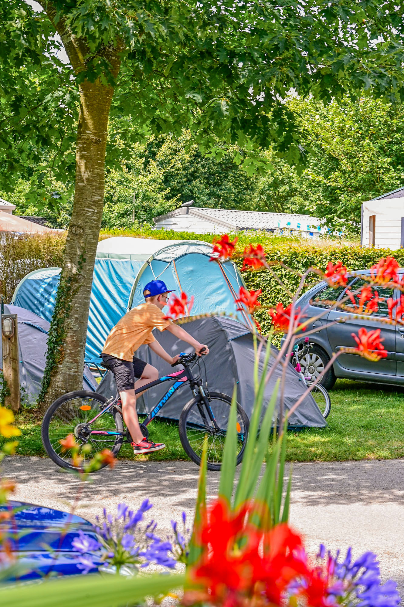 Camping près de Damgan