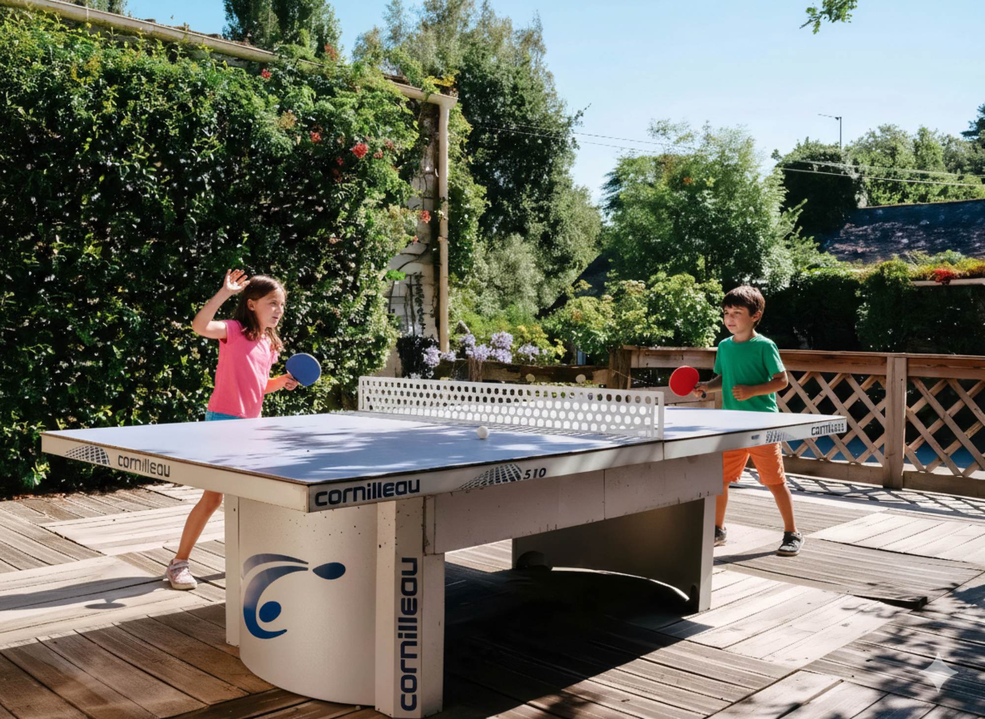 ping pong camping la blanche hermine